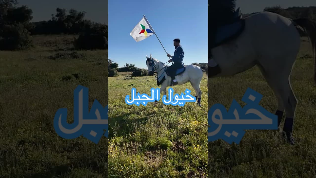فرسان مياماس… إرث الخيل في جبل العرب | قصة أصالة وشموخ