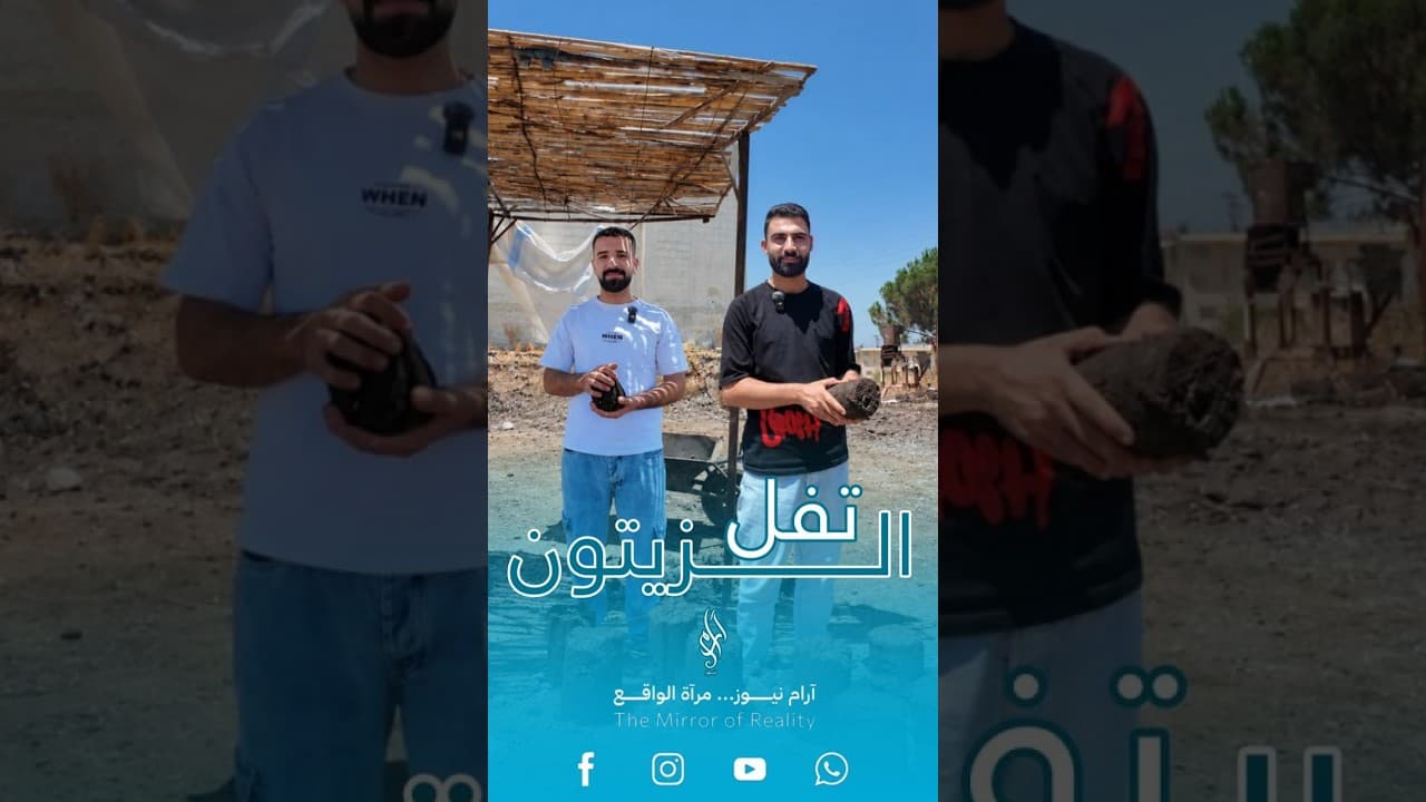 من تفل الزيتون إلى وقود للتدفئة.. مخلفات تتحول إلى مصدر للدفء